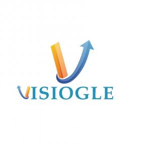 Best SEO Company in India for Businesses That Want to Rank #1 | Visiogle